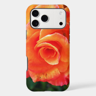 Orange Rose Photography