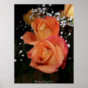 Orange Rose Poster