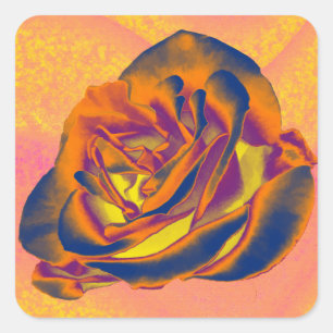 Orange Rose Sticker