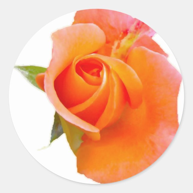 Orange Rose Stikers Classic Round Sticker (Front)
