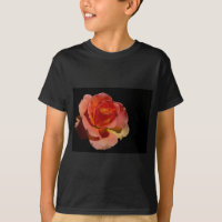 Orange Rose