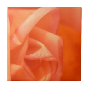 Orange rose tile