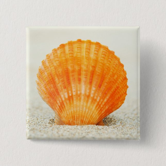 Orange Scallop Shell Standing Upright In Sand 2 Inch Square Button (Front)