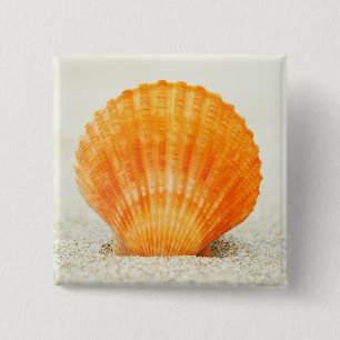 Orange Scallop Shell Standing Upright In Sand 2 Inch Square Button