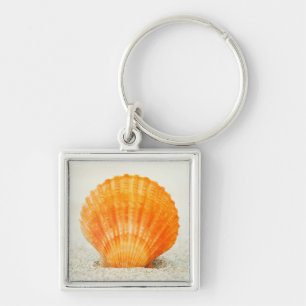 Orange Scallop Shell Standing Upright In Sand Keychain