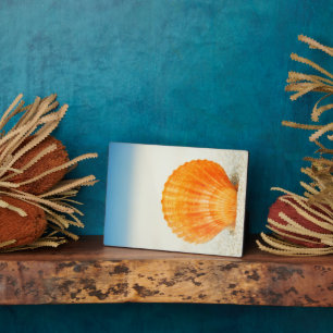 Orange Scallop Shell Standing Upright In Sand Plaque