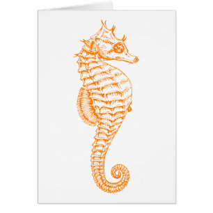 Orange Seahorse