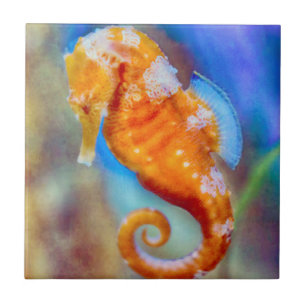 Orange Seahorse delight Tile