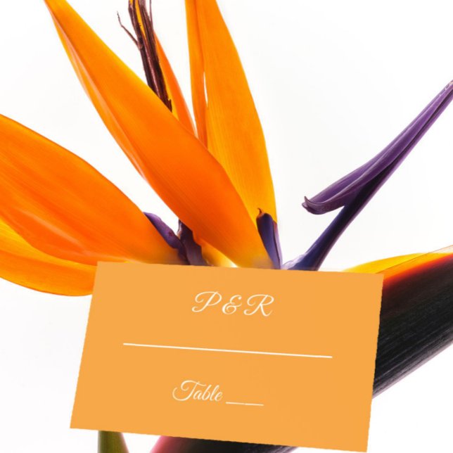 Orange Simple Stylized Script Wedding Place Card (In Situ Wedding)