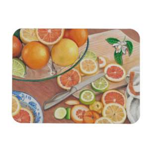 orange slice display art print on magnet