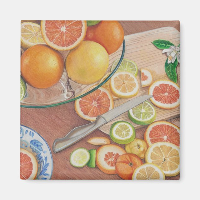 orange slice display coloured pencil drawing print magnet (Front)