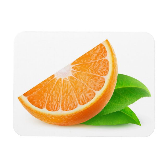 Orange slice magnet (Horizontal)
