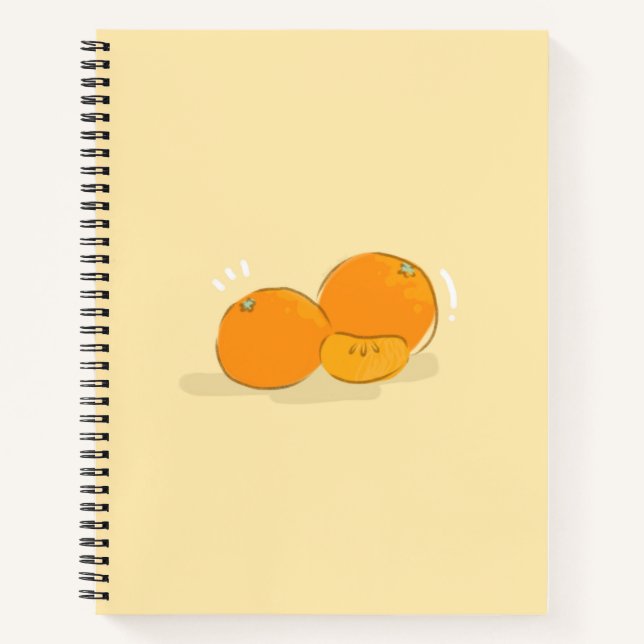 Orange Spiral Notebook (Front)