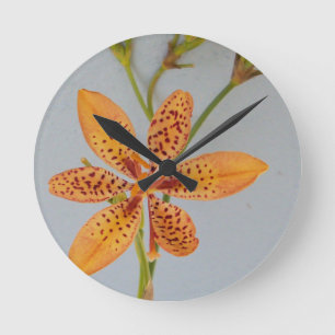 Orange spotted Iris called a  Blackberry lily Round Clock