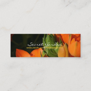 Orange Spring 2 Mini Business Card