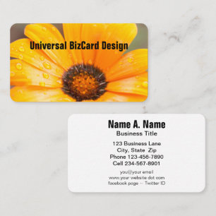 Orange Spring Flash African Daisy Close Up Business Card