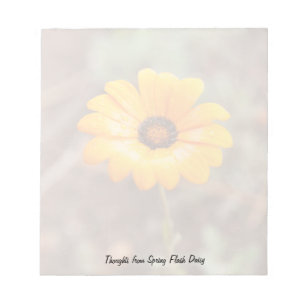 Orange Spring Flash African Daisy Close Up Photo Notepad