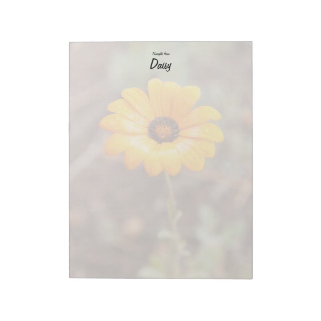 Orange Spring Flash African Daisy Close Up Photo Notepad (Rotated)