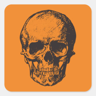 ORANGE SQUARE HALLOWEEN SKULL STICKER HAND DRAWN