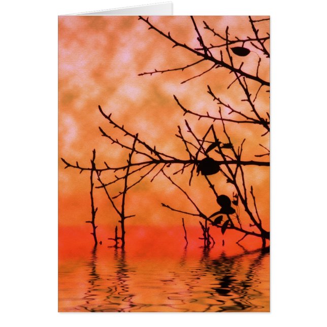 Orange Squasun Card (Front)