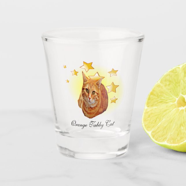Orange Striped Tabby Cat is a Star   Shot Glass (Front)