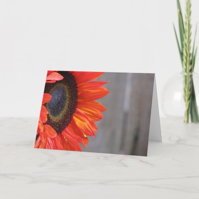 Orange Sunflower Blaze Card (Front)