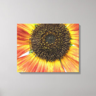Orange Sunflower Canvas Print