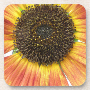 Orange Sunflower Cork Coaster