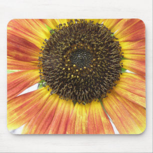 Orange Sunflower Mousepad