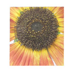Orange Sunflower Notepad