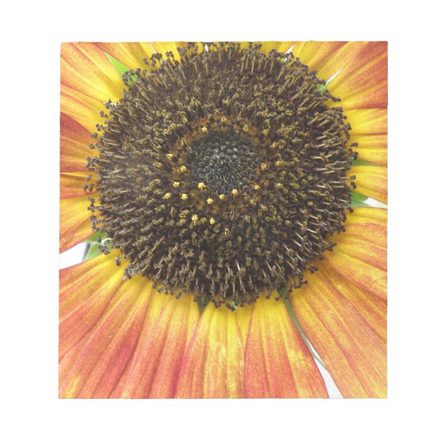 Orange Sunflower Notepad (Front)