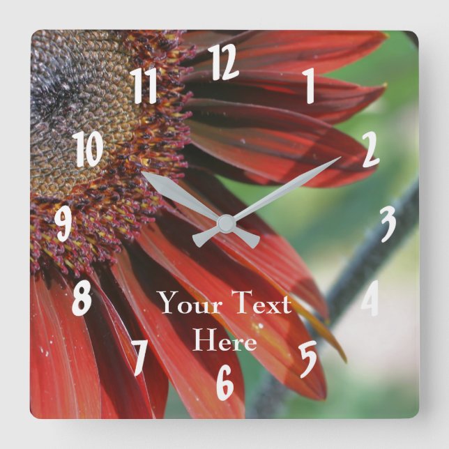 Orange Sunflower Petals Nature Square Wall Clock (Front)