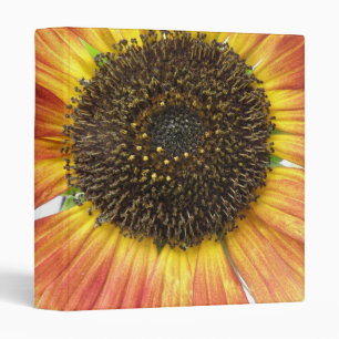 Orange Sunflower Photograph Album Binder