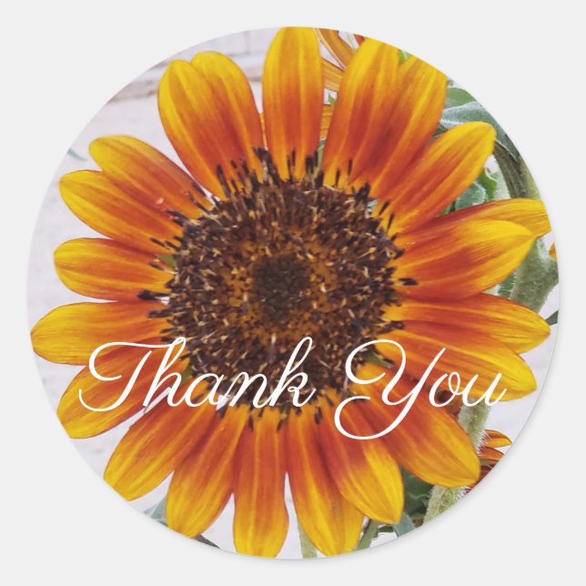 Orange Sunflower Thank You Sticker (Front)