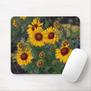 Orange Sunflowers, Bright Floral Photography Mouse Pad