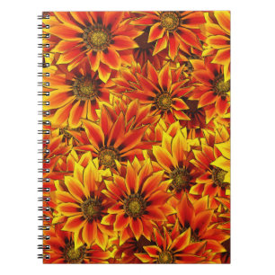 Orange Sunflowers Notebook