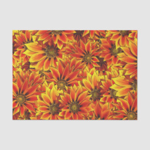 Orange Sunflowers Tissue Paper