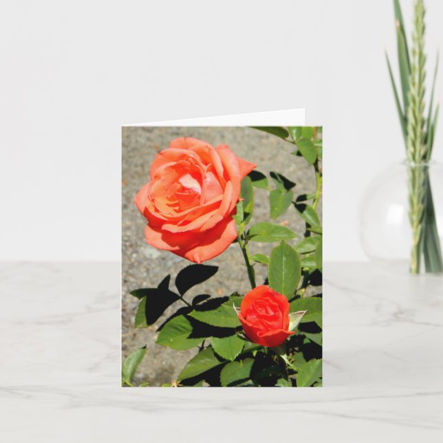 Orange Sunshine.... Card (Front)