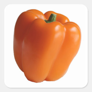 Orange Sweet Pepper Alone on  Square Sticker