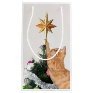 Orange tabby and Christmas star Small Gift Bag