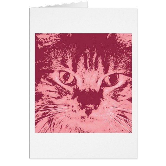 Orange Tabby Cat (Front)
