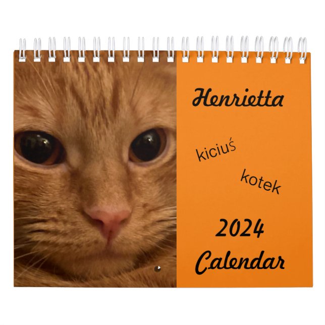 Orange Tabby Cat 2024 Calendrier avec mots POLISH (Protection)