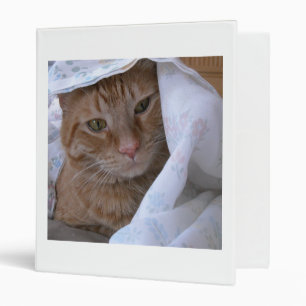 Orange Tabby Cat Binder