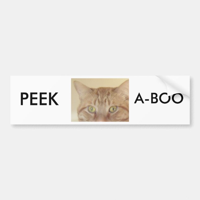 Orange Tabby Cat Bumper Sticker (Front)