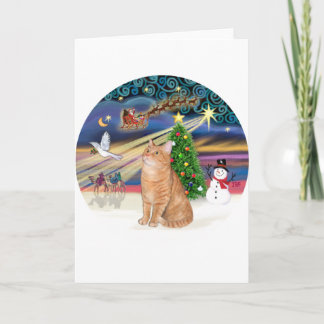 Orange Tabby Cat - Christmas Magic Holiday Card