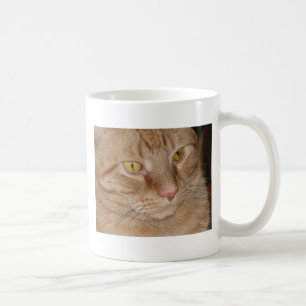 Orange Tabby Cat Coffee Mug