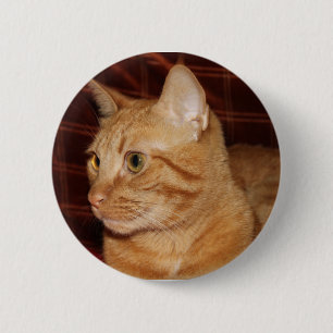 Orange Tabby Cat Face Profile 2 Inch Round Button