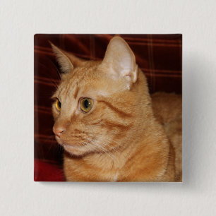 Orange Tabby Cat Face Profile 2 Inch Square Button