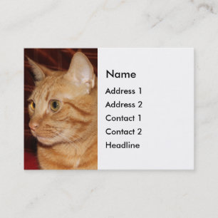 Orange Tabby Cat Face Profile Business Card