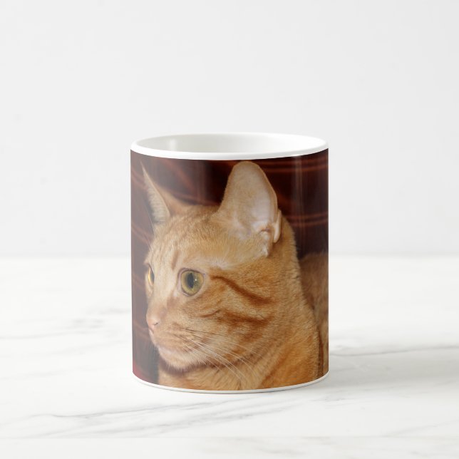 Orange Tabby Cat Face Profile Coffee Mug (Center)